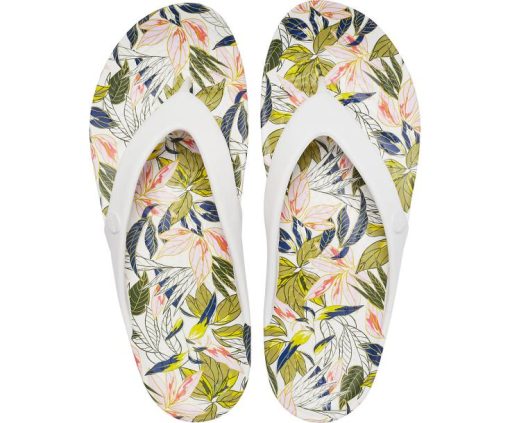 Kinostore.shopeeddcbaabc 3